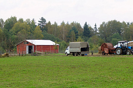 Крупный животноводческий комплекс в Ленинградской области с подтвержденной прибылью